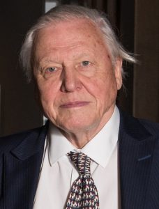 Top British Voice Actors Of All Time Sir David Attenborough 228x300